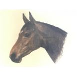 Mary Browning, pastel, study of a horse, titled Ajax, signed, mounted & framed. (22.25in x 17in)