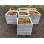 Seven square moss-filled lead coloured banded garden tubs. (8in x 8in x 7.75in) (7)