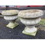 A pair of composition stone garden urns with flowerhead moulded rims above lobbed bodies on socles