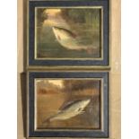 A Roland Knight, oil on canvas, a pair, rudd and grayling, signed & contemporary framed. (8.75in x