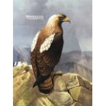 Donald Birkeck, watercolour, study of an eagle perched on rocks in mountain landscape, signed,