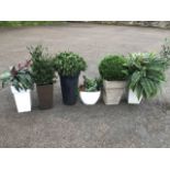 Six miscellaneous garden pots or tubs filled with artificial flowers - ferns, cacti, lavender,