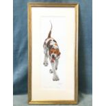 Mary Anne Rogers, print of a hound titled Rover, signed in print and in pencil on margin,