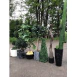 Seven artificial garden trees/shrubs with miscellaneous pots and tubs. (5)