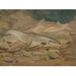 H L Rolfe, watercolour, fish on riverbank, titled The Freshwater Fish of Great Britain, mounted
