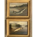 A Roland Knight, oil on board, pike coming to gaff and trout on line, signed and gilt framed. (9.5in