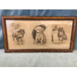 Cecil Aldin, caricature sepia print of three dogs, signed in print, in grained gesso frame. (23.25in