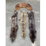 A lined ladies mink cape by Walter Green furriers; and three fox stoles with glass eyes, clawed paws