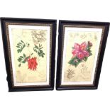 P Mac, American coloured etchings, a pair, flowers with quotes from Shelley & Chaucer, signed in