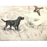 Vernon Stokes, coloured etching, duck being risen by labrador in landscape, signed and numbered in