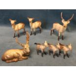 A group of Beswick deer figurines - a set of three fawns with speckled coats, a pair of does, a