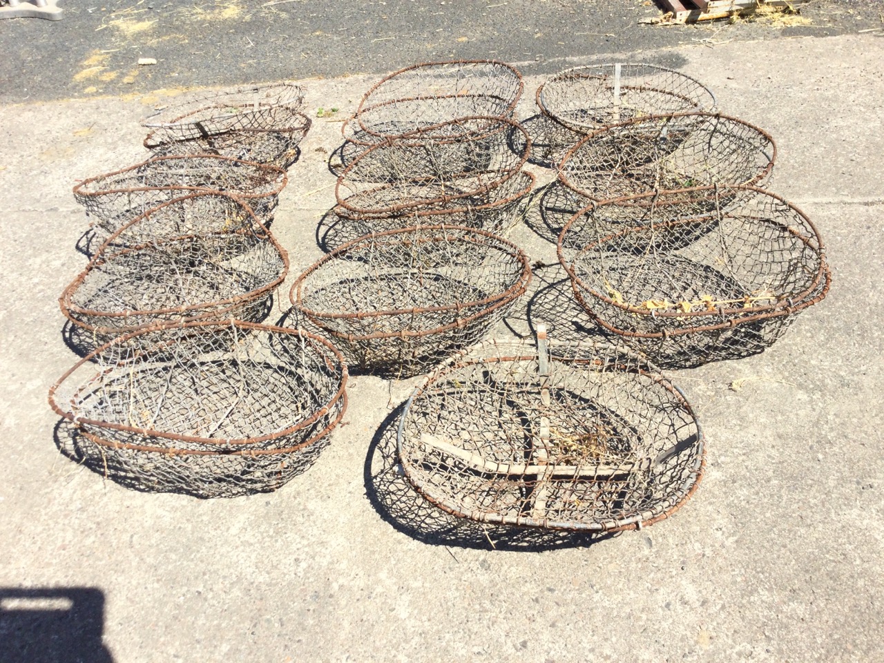 Twenty-two oval mesh potato cage baskets, each with hand-hole apertures to side rims. (22)