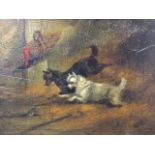 Nineteenth century oil on board, interior barn scene with pair of terriers chasing rat down hole,