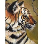 H Hendrie, gouache on paper, a Bengal tiger, signed, mounted and framed. (15.25in x 21in)