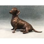 Michael Simpson, bronze, study of a seated dachshund, a limited edition and numbered, with