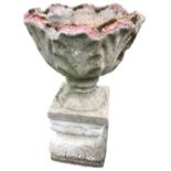 A composition stone garden urn on stand, with scalloped leaf cast vessel on socle and square plinth,