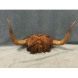 A pair of highland cow horns mounted on wood block with wall mounts. (30.25in)
