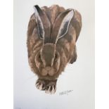 Mary Ann Rogers, lithographic coloured print of a hare, signed and numbered in pencil, titled