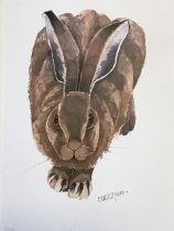 Mary Ann Rogers, lithographic coloured print of a hare, signed and numbered in pencil, titled