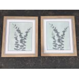 Martin, a pair, framed and mounted floral silhouette prints on faux canvas, signed, titled