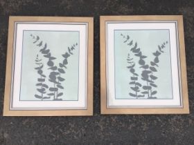 Martin, a pair, framed and mounted floral silhouette prints on faux canvas, signed, titled