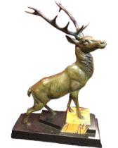 A C20th bronze stag, the beast standing on polished slate & marble stepped plinth. (15.5in x 5in x