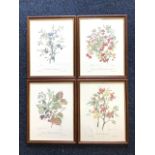 Elizabeth Cameron, a set of four coloured floral prints, signed and numbered in pencil, titled and