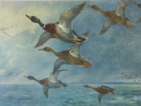 Archibold Thorburn, C20th coloured print, ducks flying over water, signed in print and dated 1927,