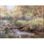 N Howroyd, watercolour, study of a stream in wooded landscape, signed and dated 1906, gilt