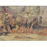 D Fraser, watercolour, landscape with trees on edge of wood, signed, titled to verso Autumn Tints,