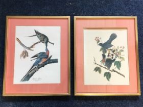 A pair of C20th coloured bird prints, Passenger Pigeon and Cat Bird, the plates mounted & gilt