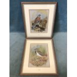 HL Leonard, a pair, bird of watercolours, with plover and kestrel, signed & dated, mounted and