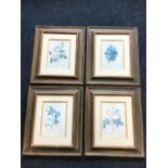 PJ Redouté, a set of four coloured floral prints in stained moulded frames. (17.75in x 21in) (4)
