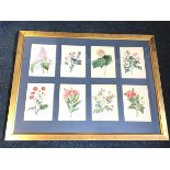 PJ Redouté, a set of eight framed floral prints, the coloured plates mounted & gilt framed. (42.