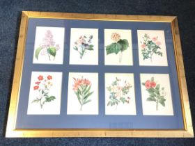 PJ Redouté, a set of eight framed floral prints, the coloured plates mounted & gilt framed. (42.