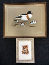 Andy Graystone, gouache and watercolour, Common Shelduck and ducklings, signed and dated 81, mounted