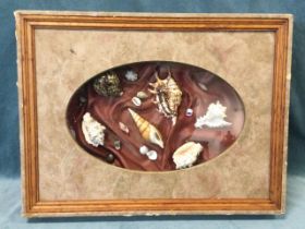 A collection of tropical seashells set on silk in a box frame under an oval mount. (20.25in x 15.