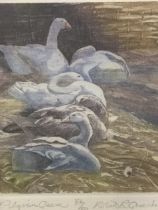 Robert R Greenhalf, limited edition colour etching, Pilgrim Geese, signed, titled and numbered 54/