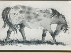 Sue Mat? pencil and watercolour, study of a horse, signed, mounted & framed. (10.25in x 6.75in)