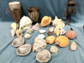 A collection of tropical seashells, two African skin drums, and an outdoor doorbell with three cow