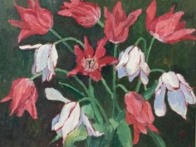 The Duke of Grafton, oil on board, still life, study of lily flowering tulips, signed with