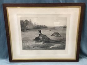 Archibald Thorburn, monochrome print dated 1896 in the image, signed, with printsellers embossed
