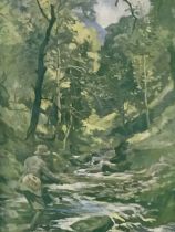 Lionel Edwards, lithographic coloured print, A Devon Stream (Trout), signed in pencil on margin,