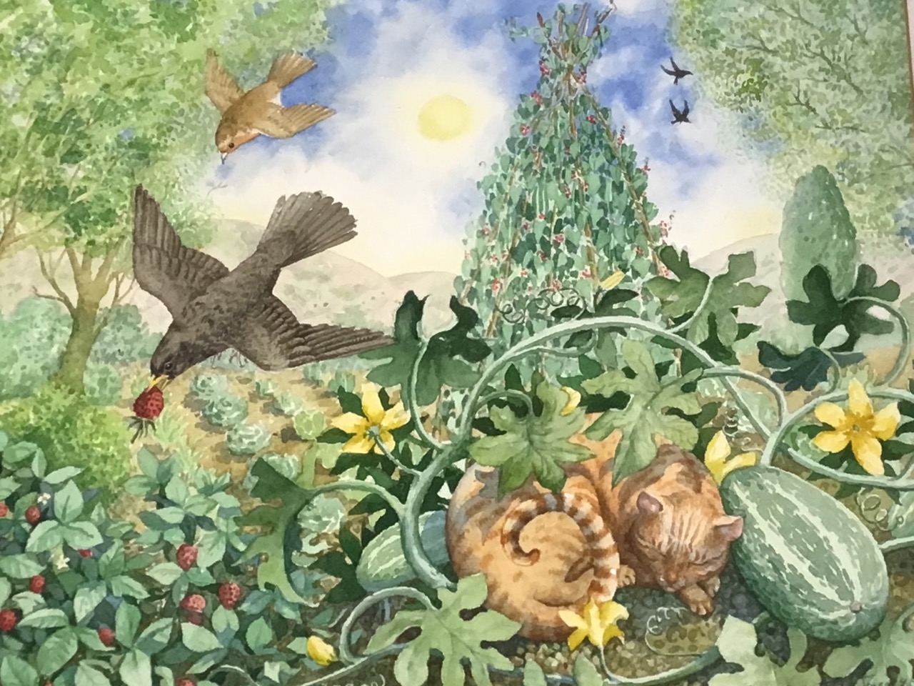 Judy Jones, watercolour, summer garden study with birds, fruit and vegetables and sleeping cat,