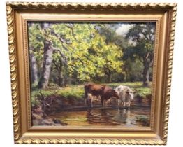 C20th oil on board, cows watering on wooded riverbank, unsigned, in gadrooned gilt frame. (8.75in