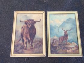 Wilton Motley, oil on boards, a pair, highland cow and stag in landscapes, signed & gilt framed. (