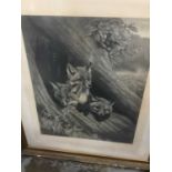 19th century print of foxes, other pictures and mirror