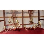 Pair of brass three branch ceiling lights