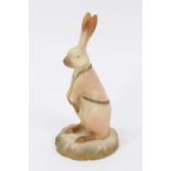 A Royal Worcester blush ivory model of a rabbit