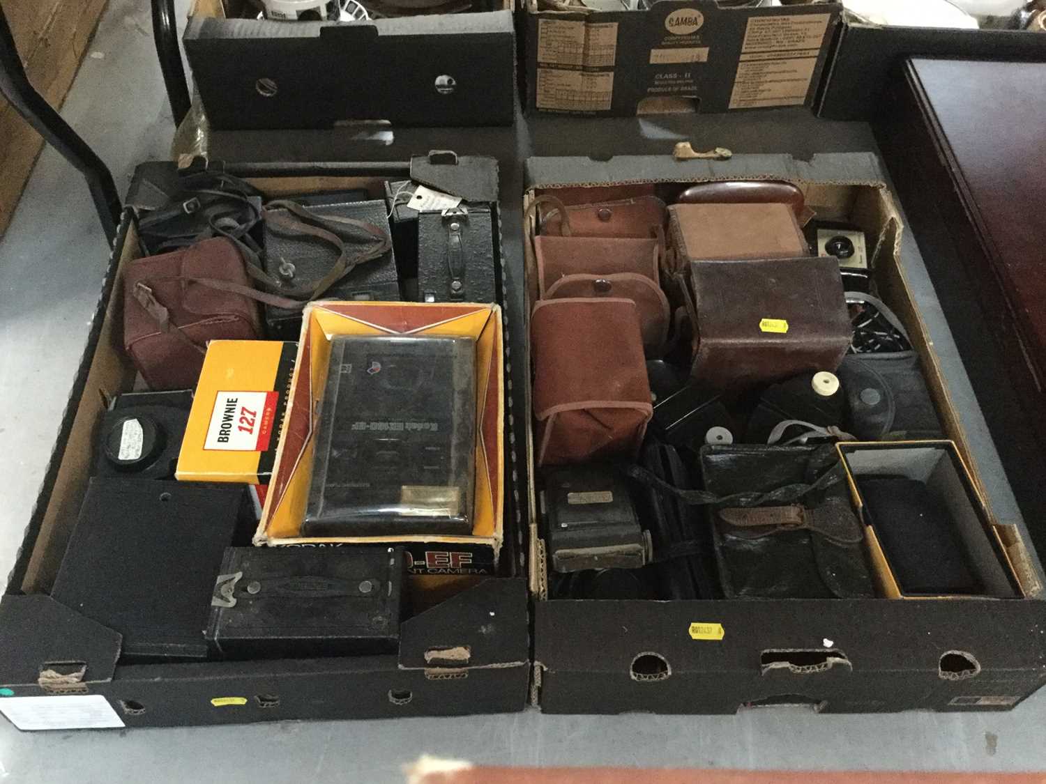 Two boxes of vintage cameras